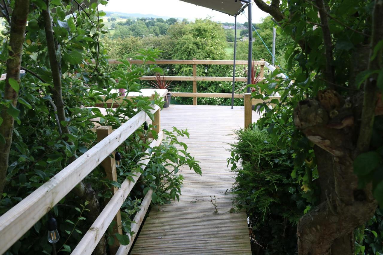 Lovely 1 Bedroom Basement With Stunning Views Apartment