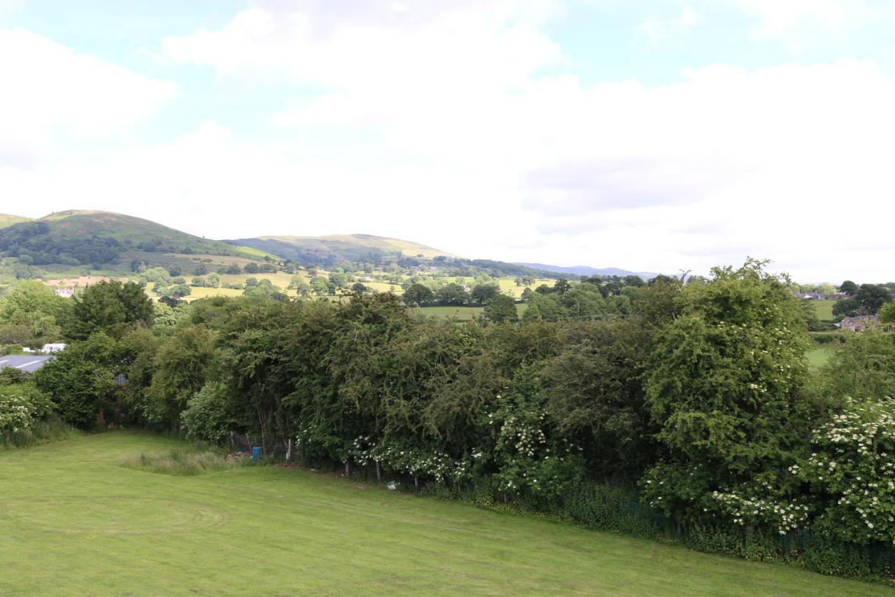 Lovely 1 Bedroom Basement With Stunning Views *